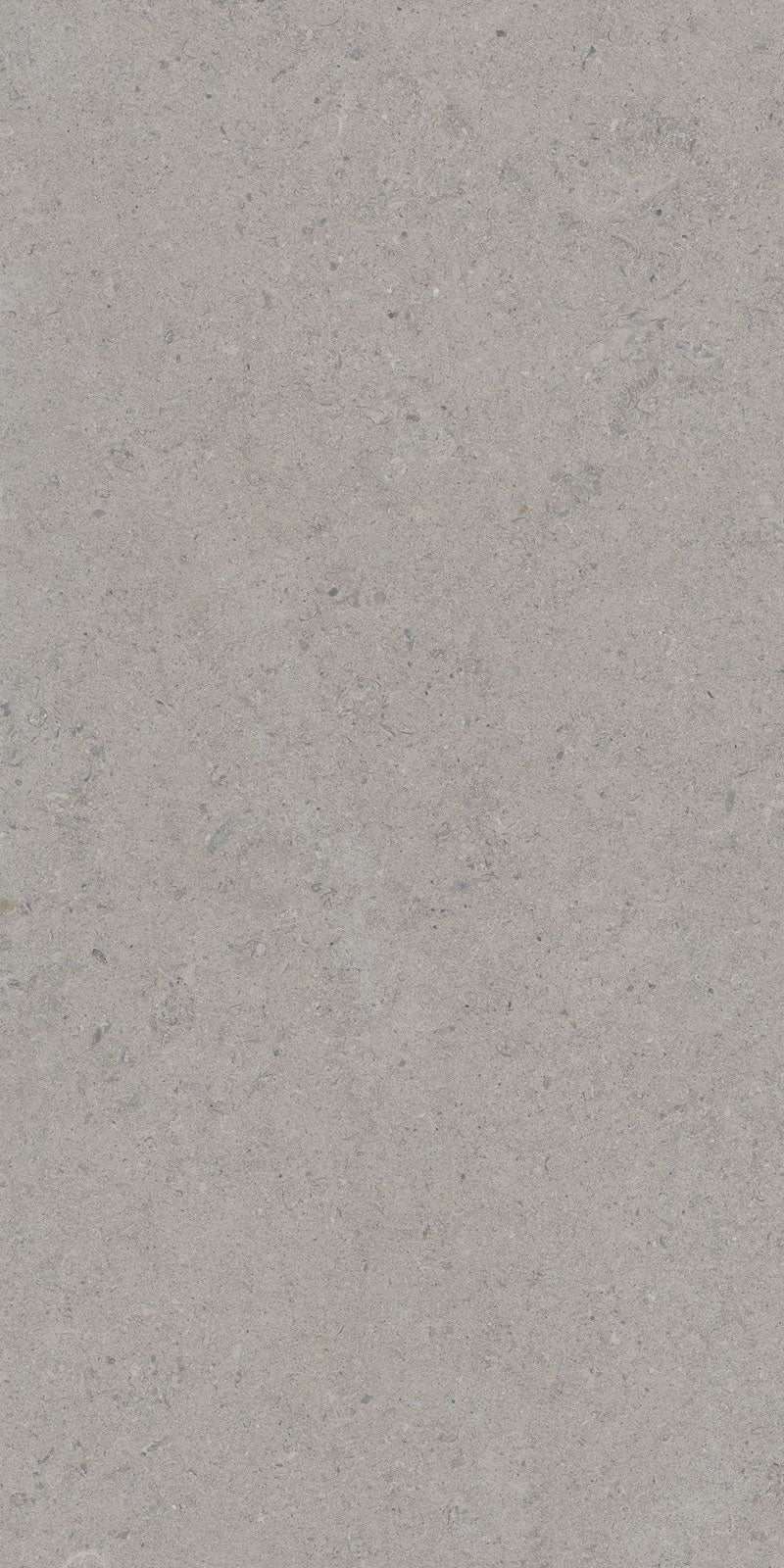 Gresie portelanata Calcare Silver 60X120 cm, mat, Spania