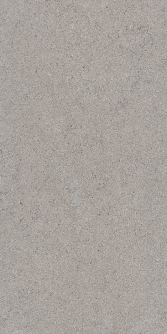 Gresie portelanata Calcare Silver 60X120 cm, mat, Spania