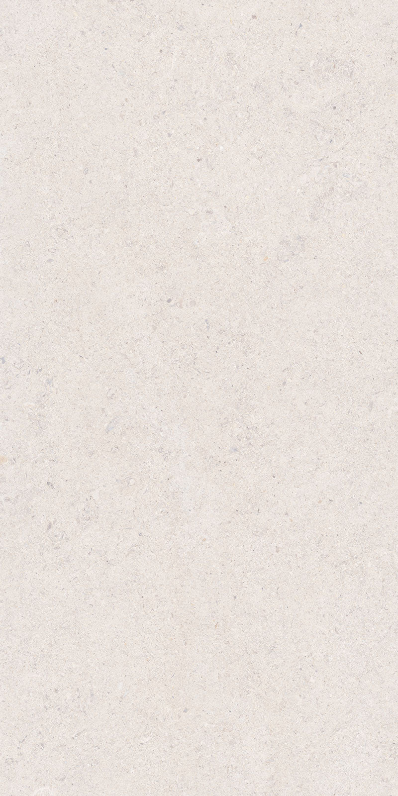 Gresie portelanata Calcare White 60X120 cm, mat, Spania