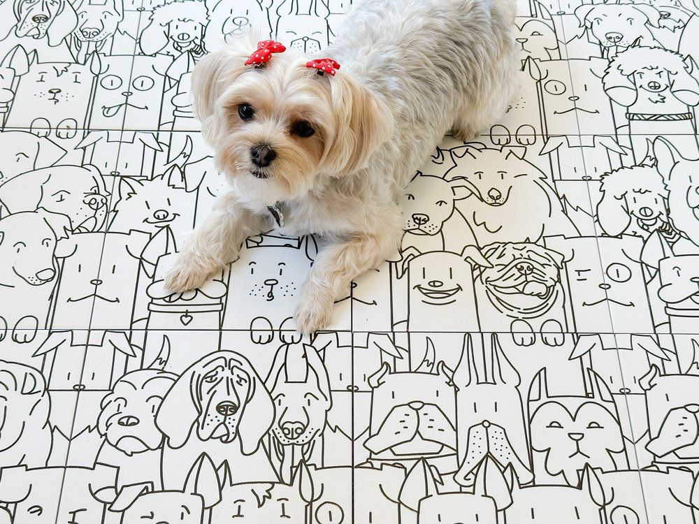 Gresie portelanata Oh my Dog 25x25 cm