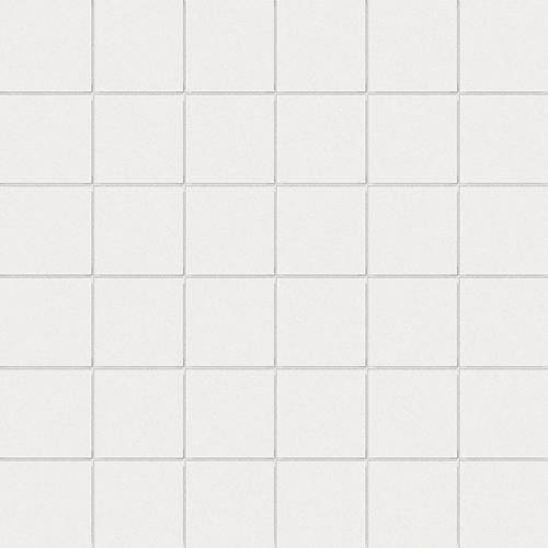 Mozaic CE.SI Bianco Mat 5x5 folie 30x30 cm