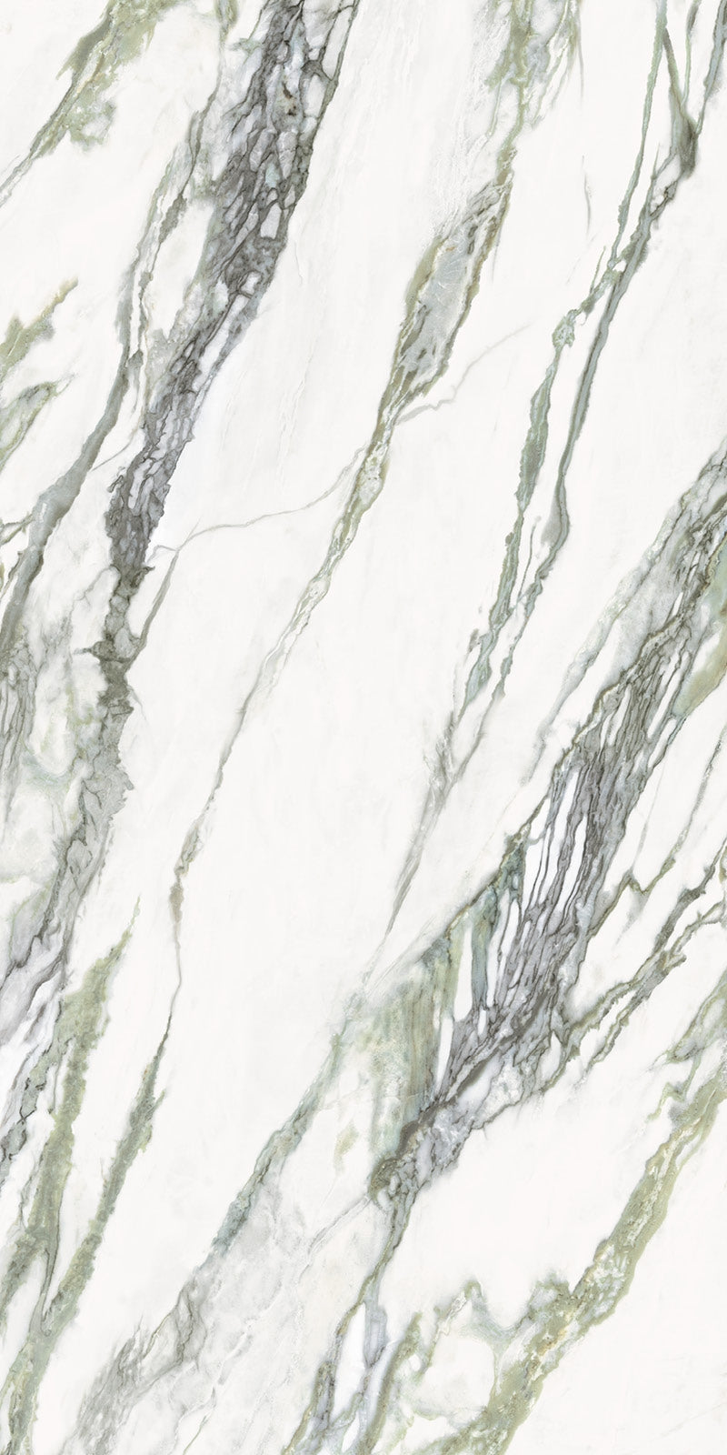 Gresie portelanata Calacatta Green Polished 60x120 cm