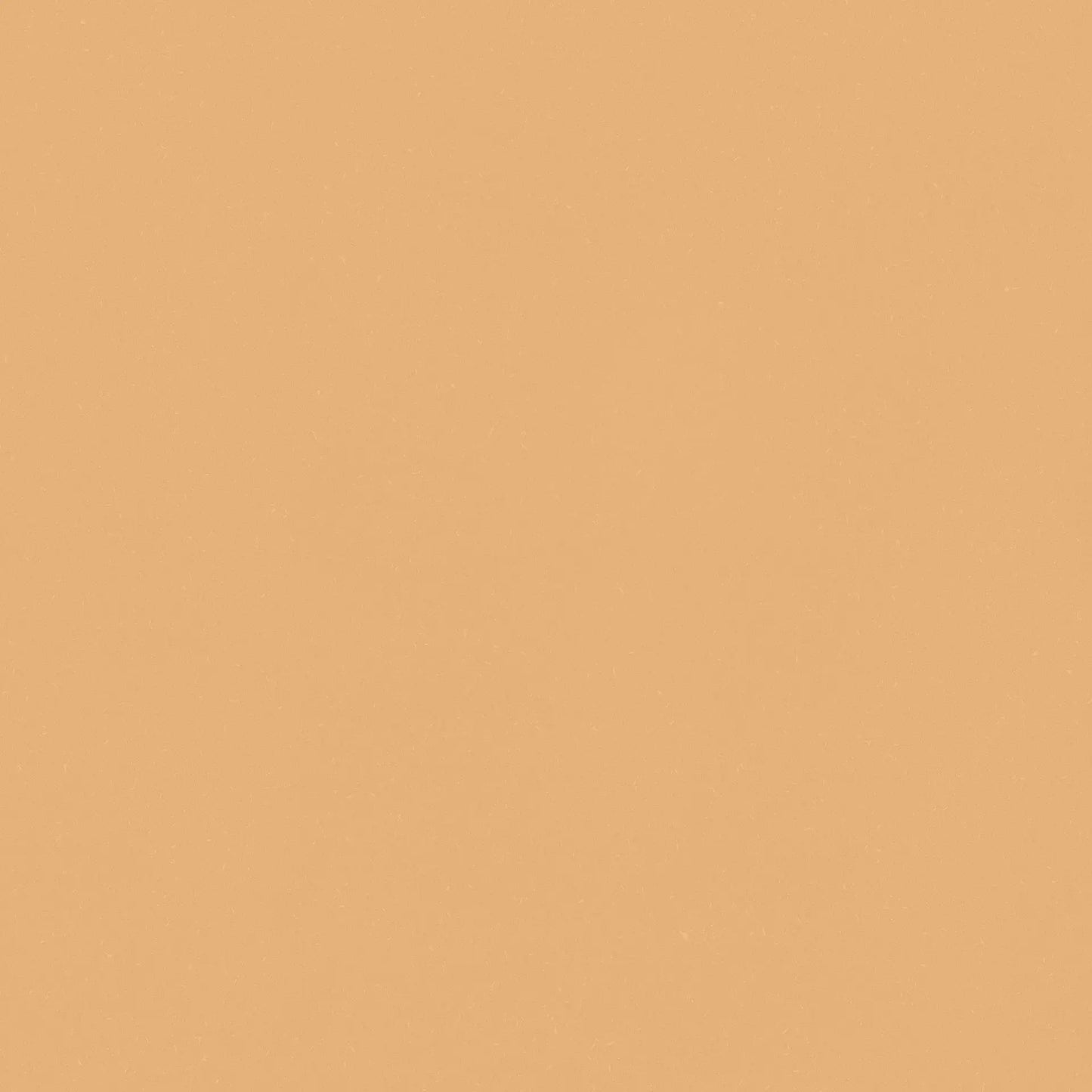 Taco Tender Impala 4.6x4.6 cm