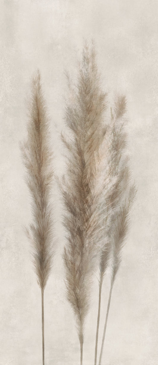 Lastra ceramica Caesar Decor Pampa Mat 120x278 cm, 6 mm, productie Italia
